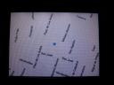 Google Maps en la Blackberry